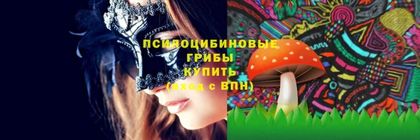 индика Богородицк