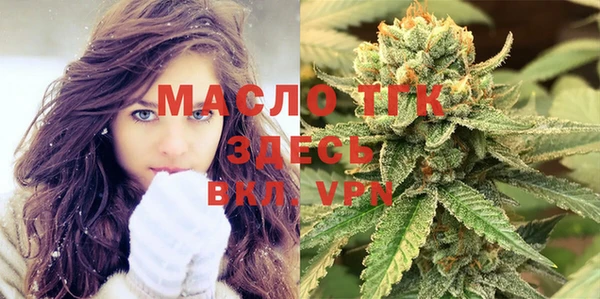 индика Богородицк