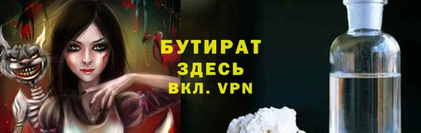 индика Богородицк