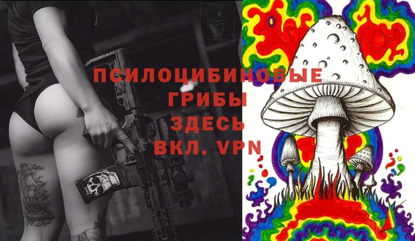 Альфа ПВП Белокуриха