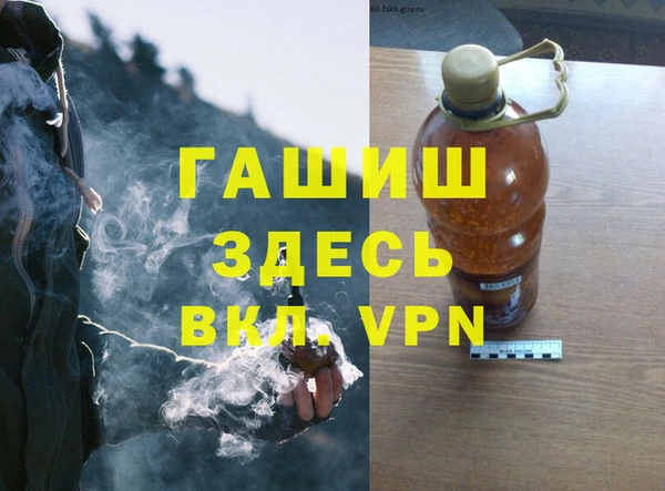 индика Богородицк
