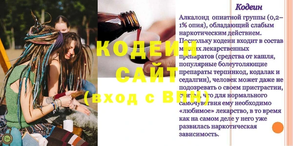 индика Богородицк