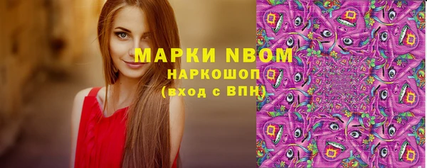 индика Богородицк