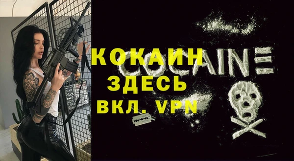 молекула духа Бородино