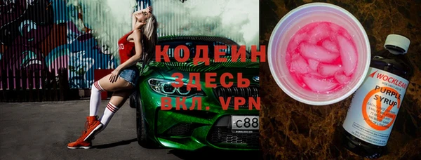 индика Богородицк