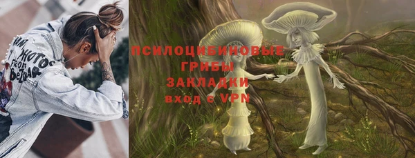 индика Богородицк