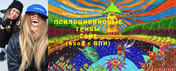 Альфа ПВП Белокуриха